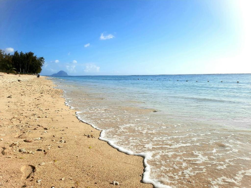 Sunkissed - Brand New Located 50m From Apartment *